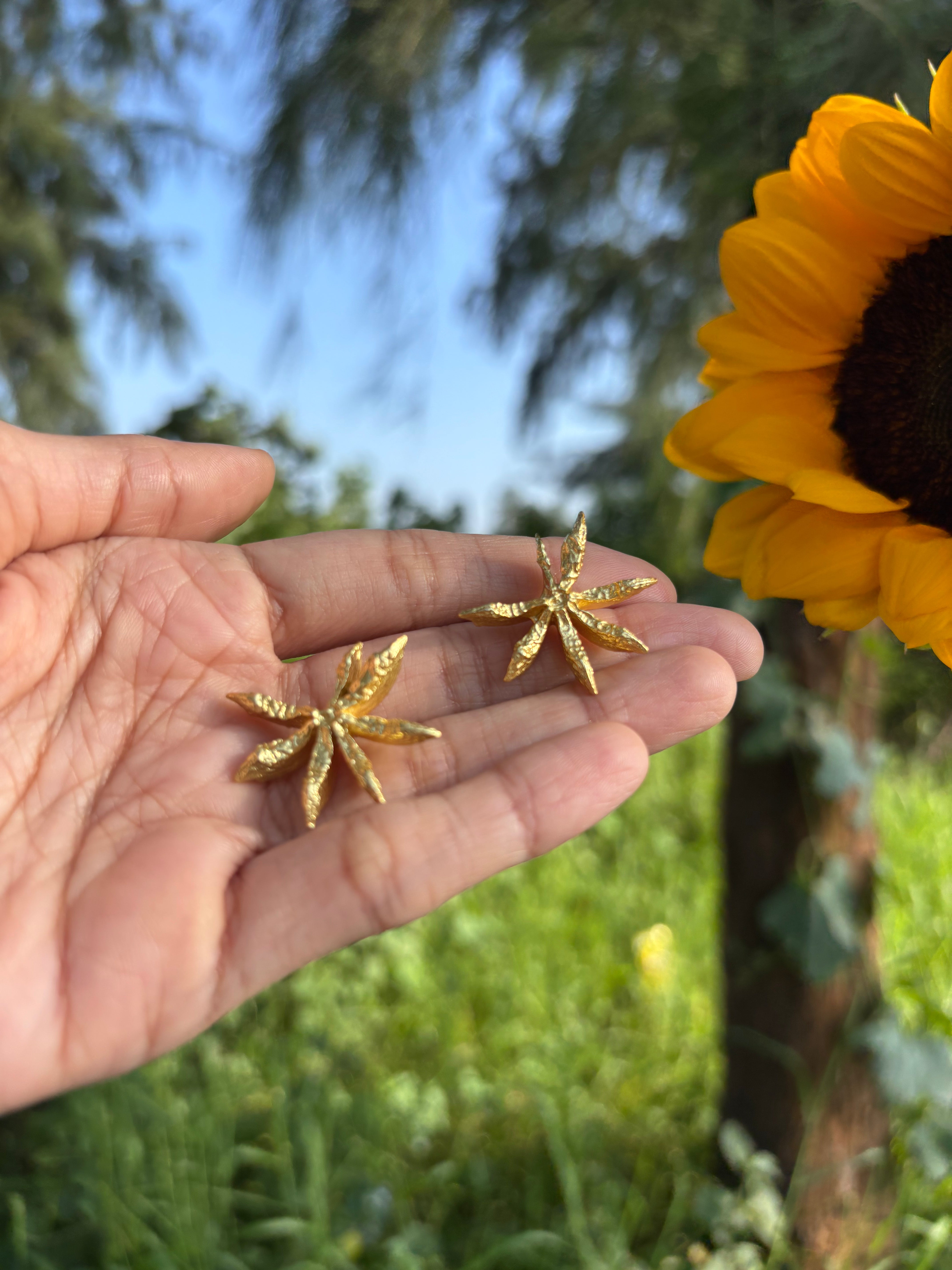 Star Anise Studs