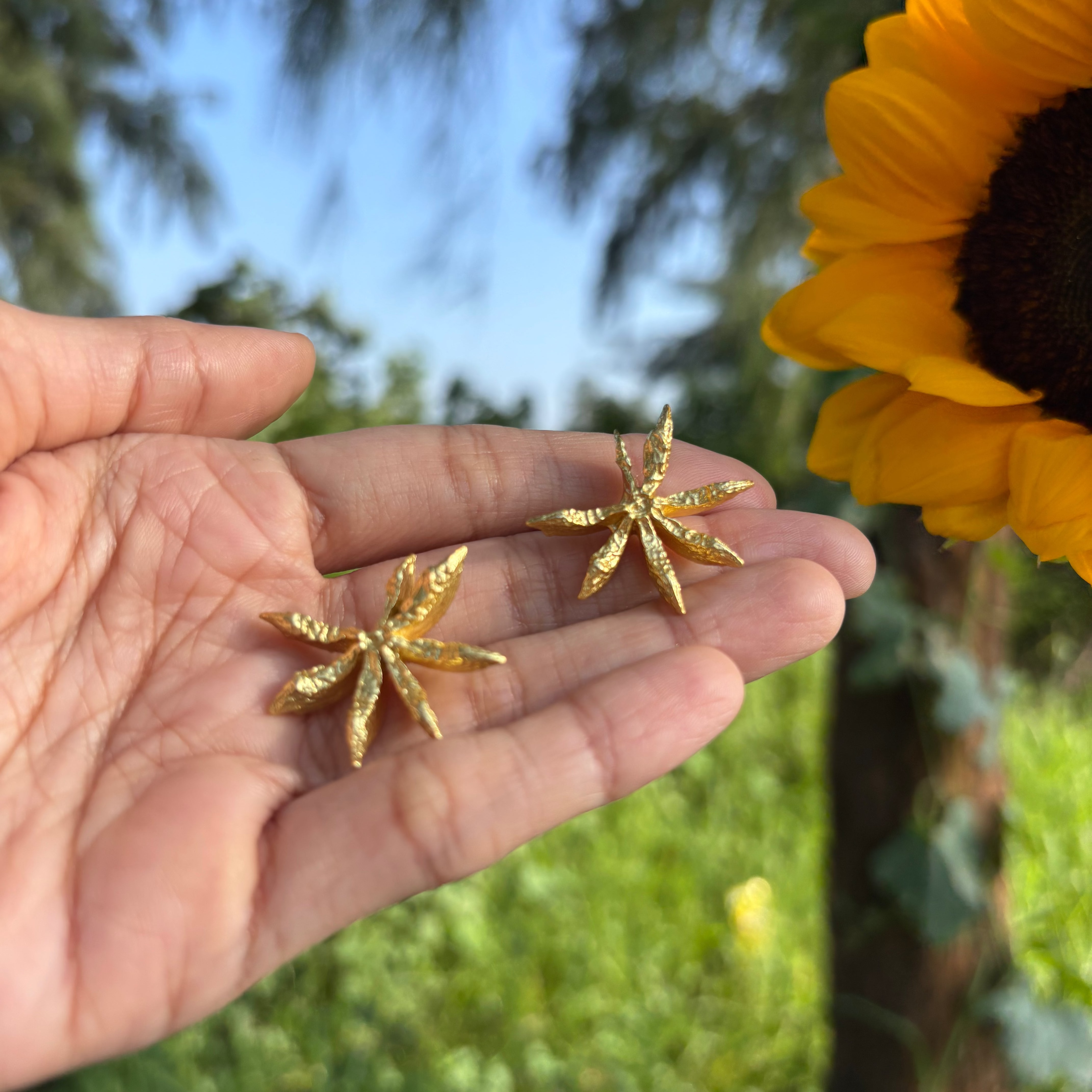 Star Anise Studs