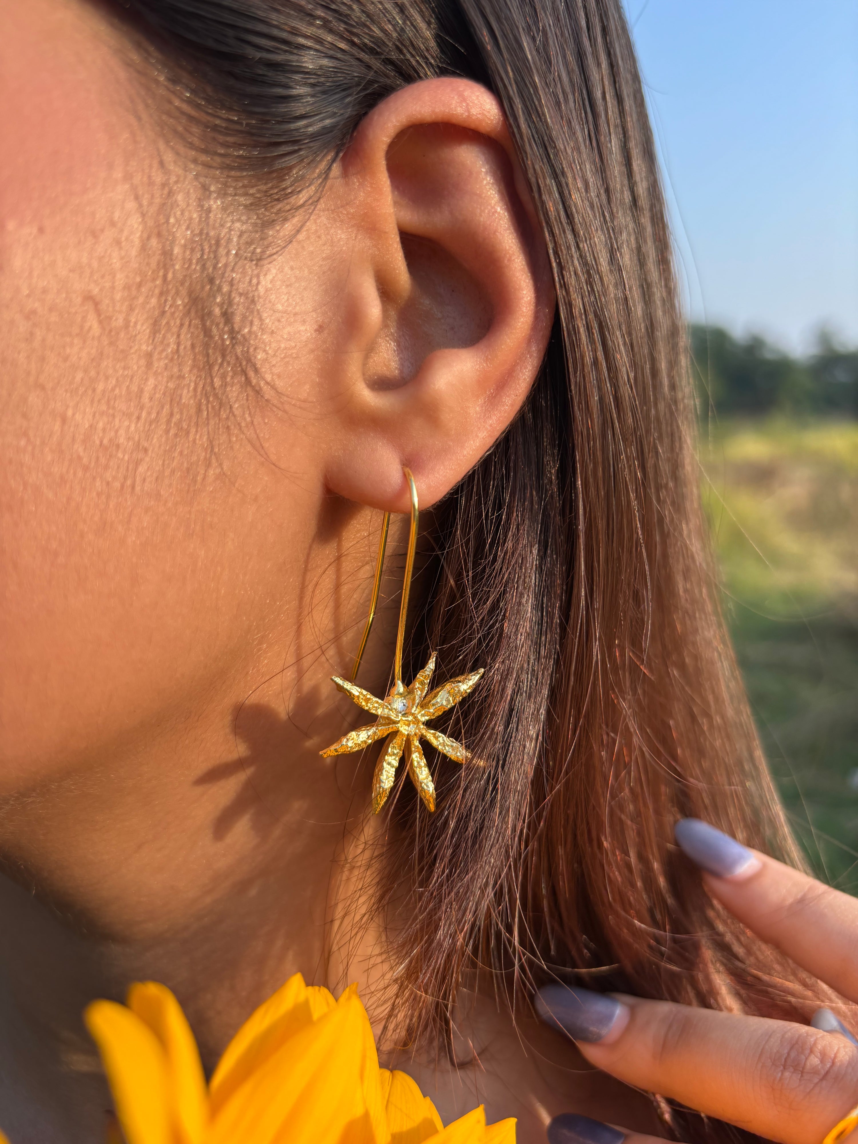 Star Anise Slider Earrings