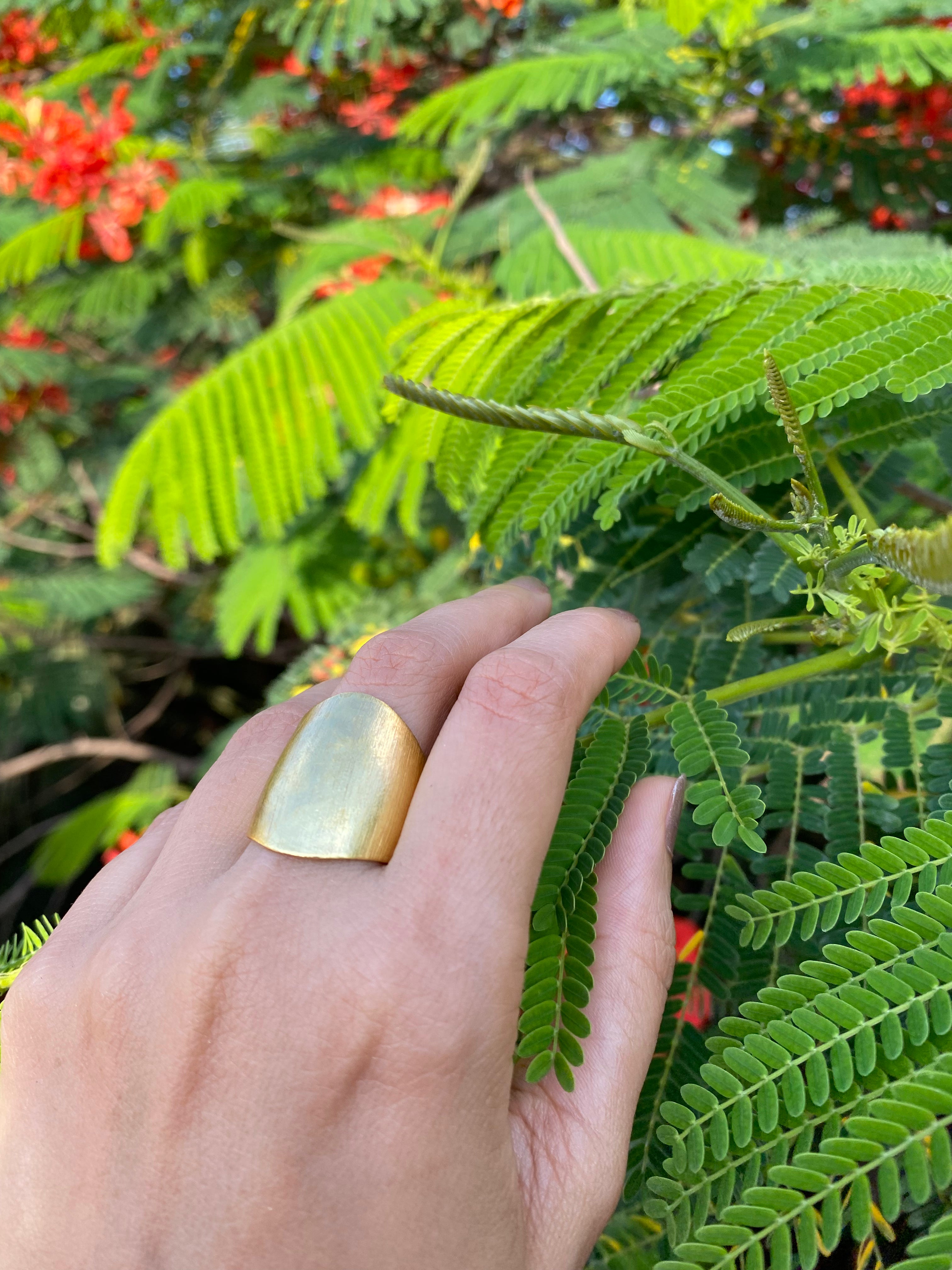 Golden Aura Adjustable Ring
