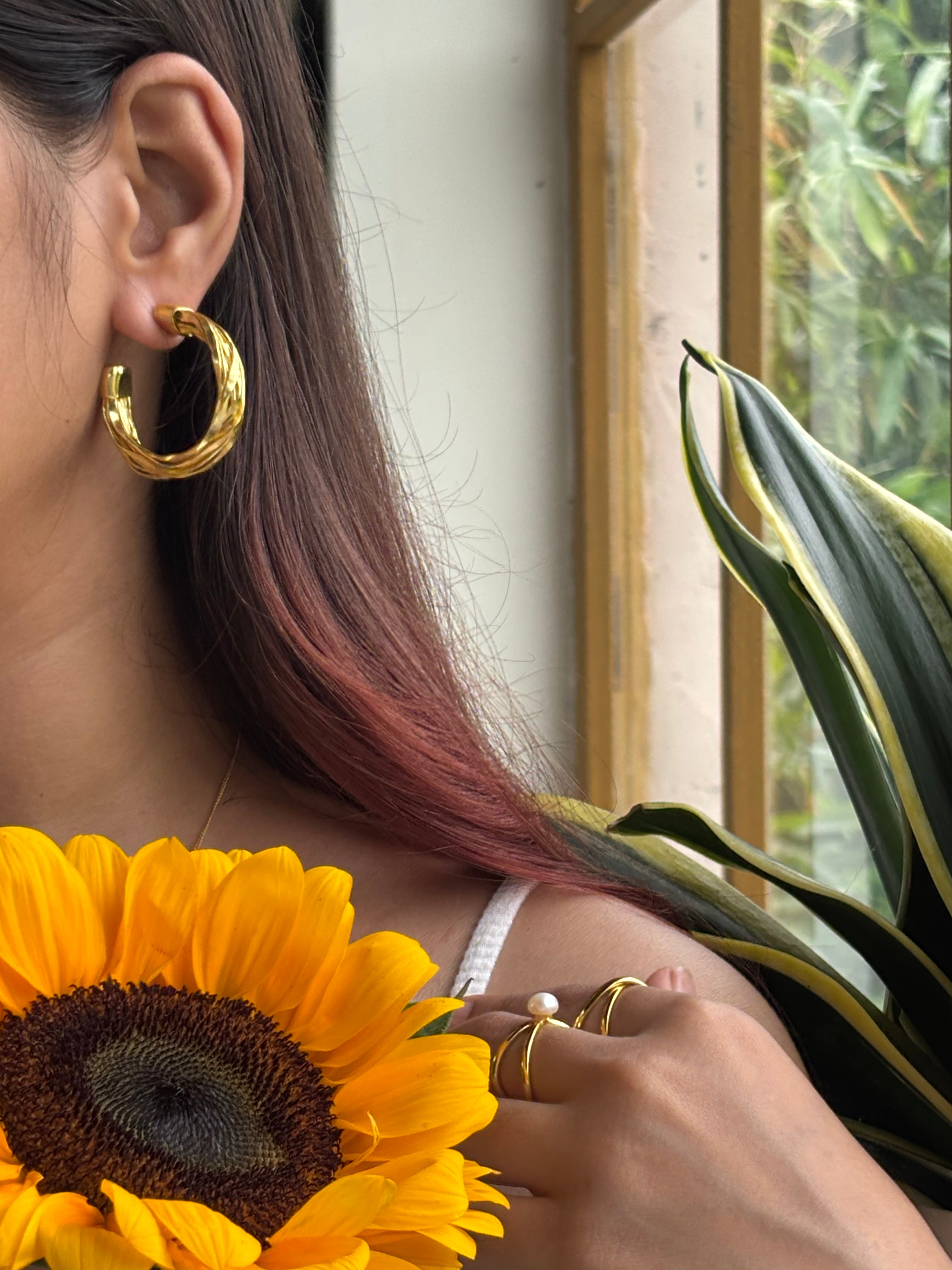 Multilayer Hoops