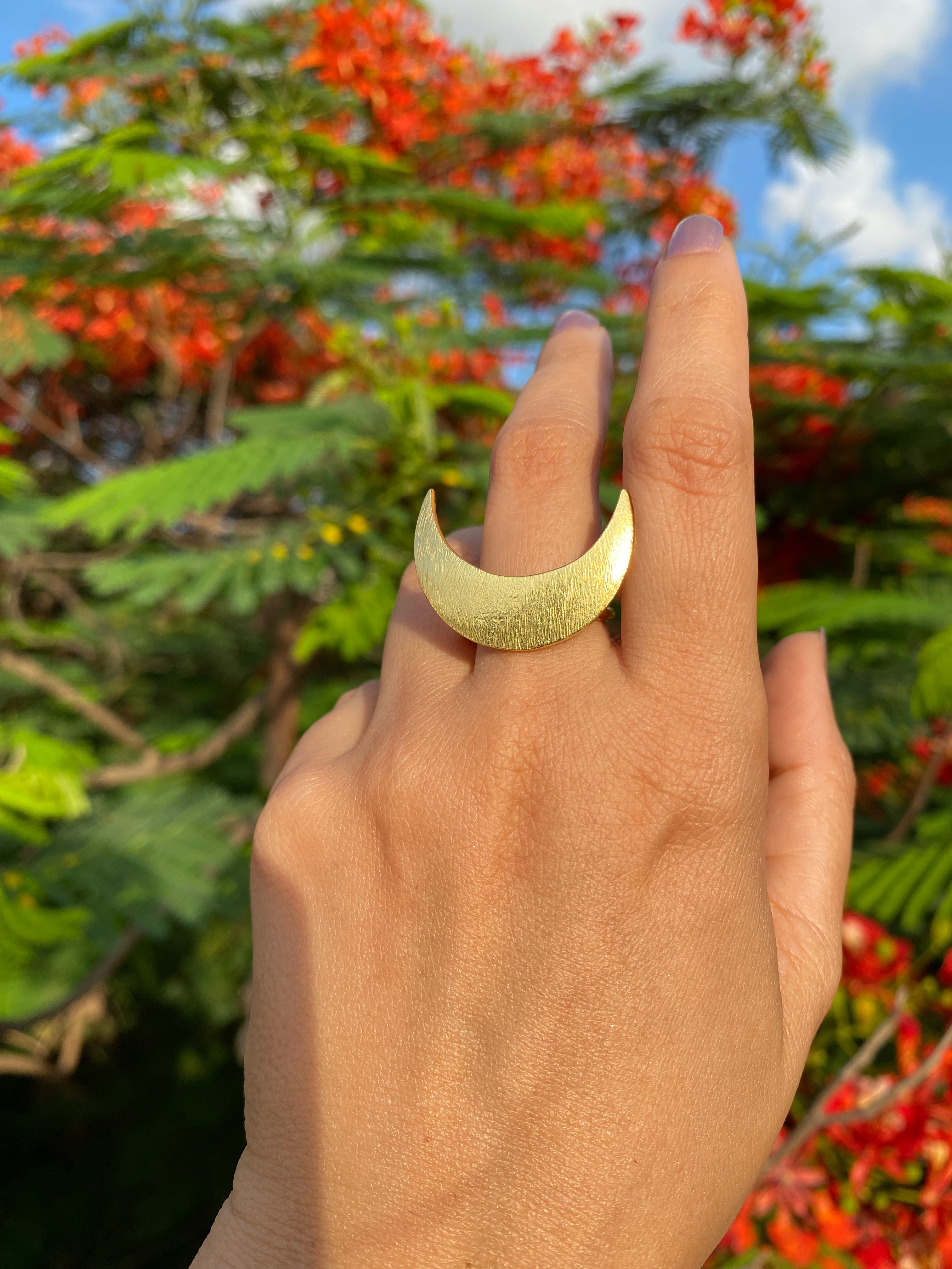 Luna Arc Adjustable Ring