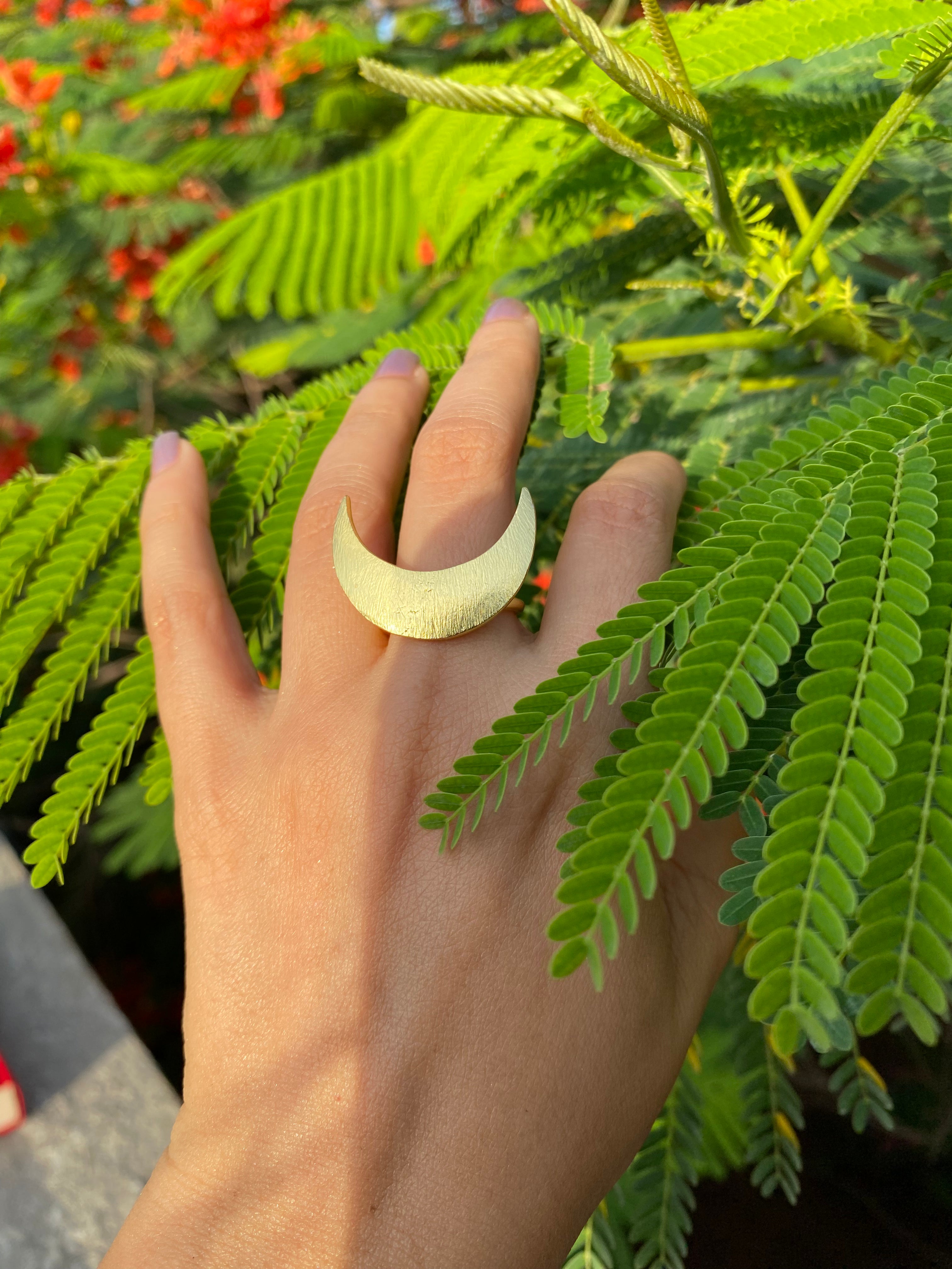 Luna Arc Adjustable Ring