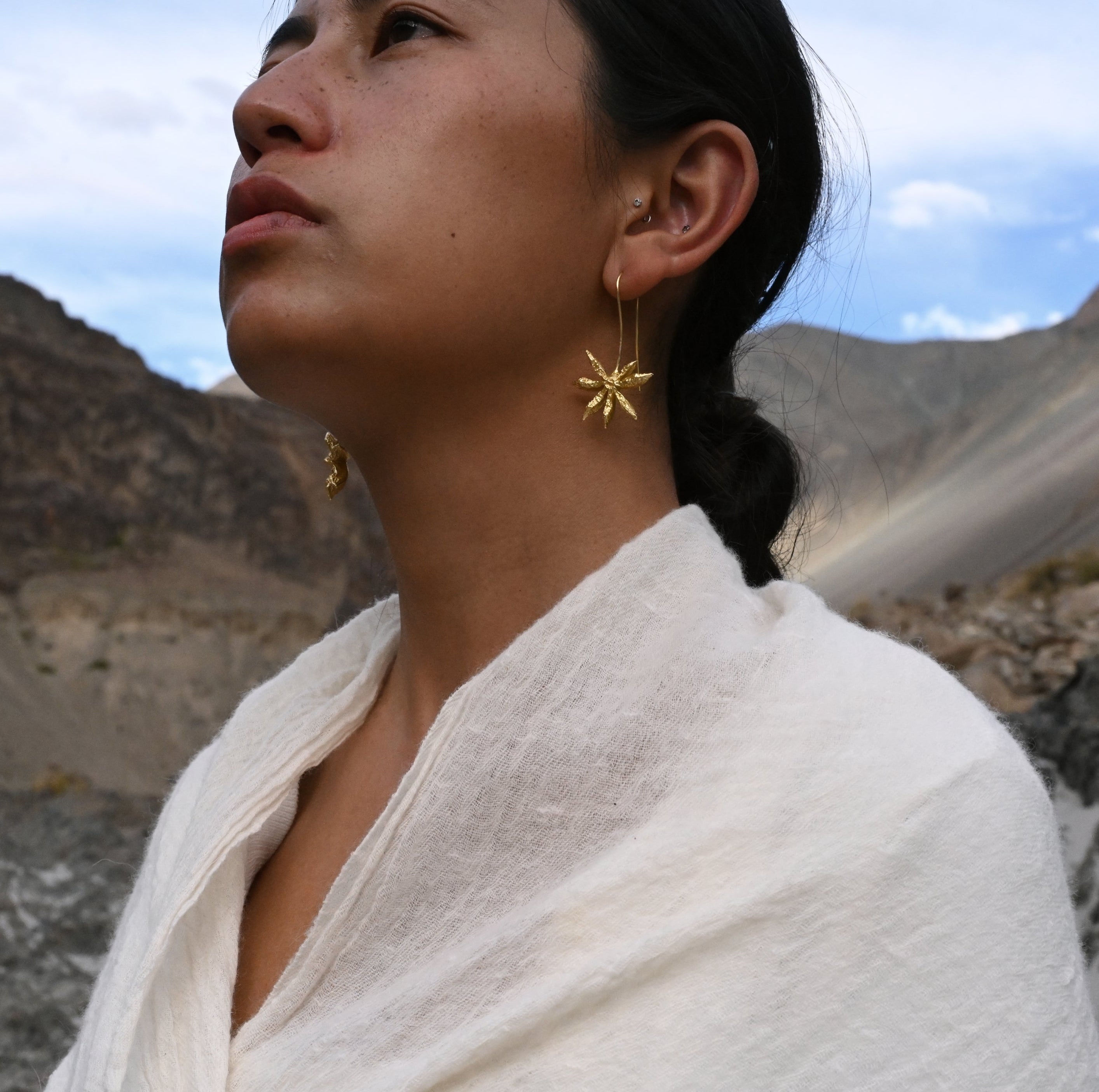 Star Anise Slider Earrings