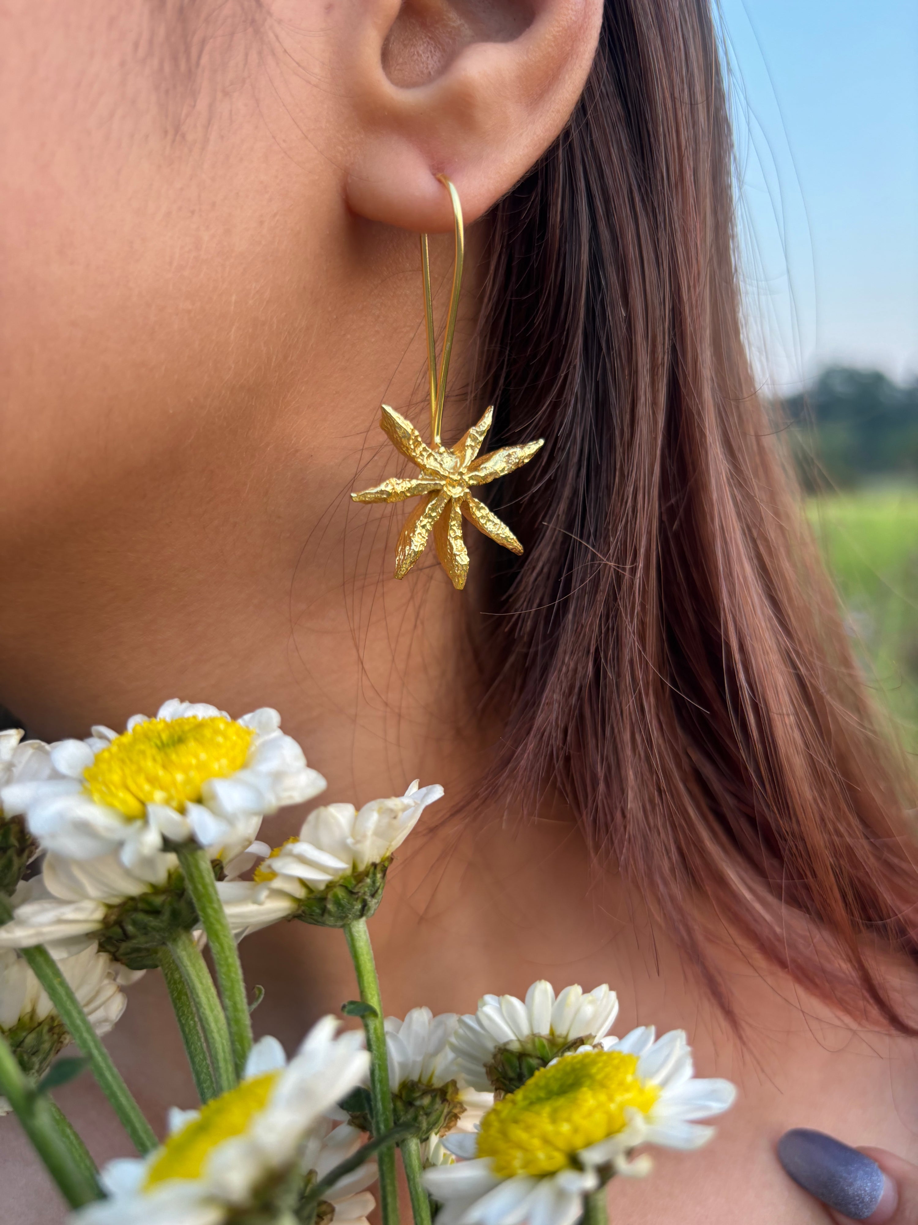 Star Anise Slider Earrings